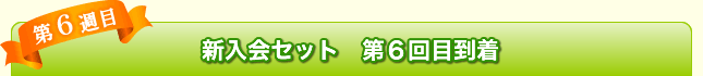 第6週目　新入会セット第6回目到着